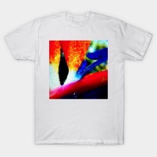 Bird of Paradise Abstract T-Shirt